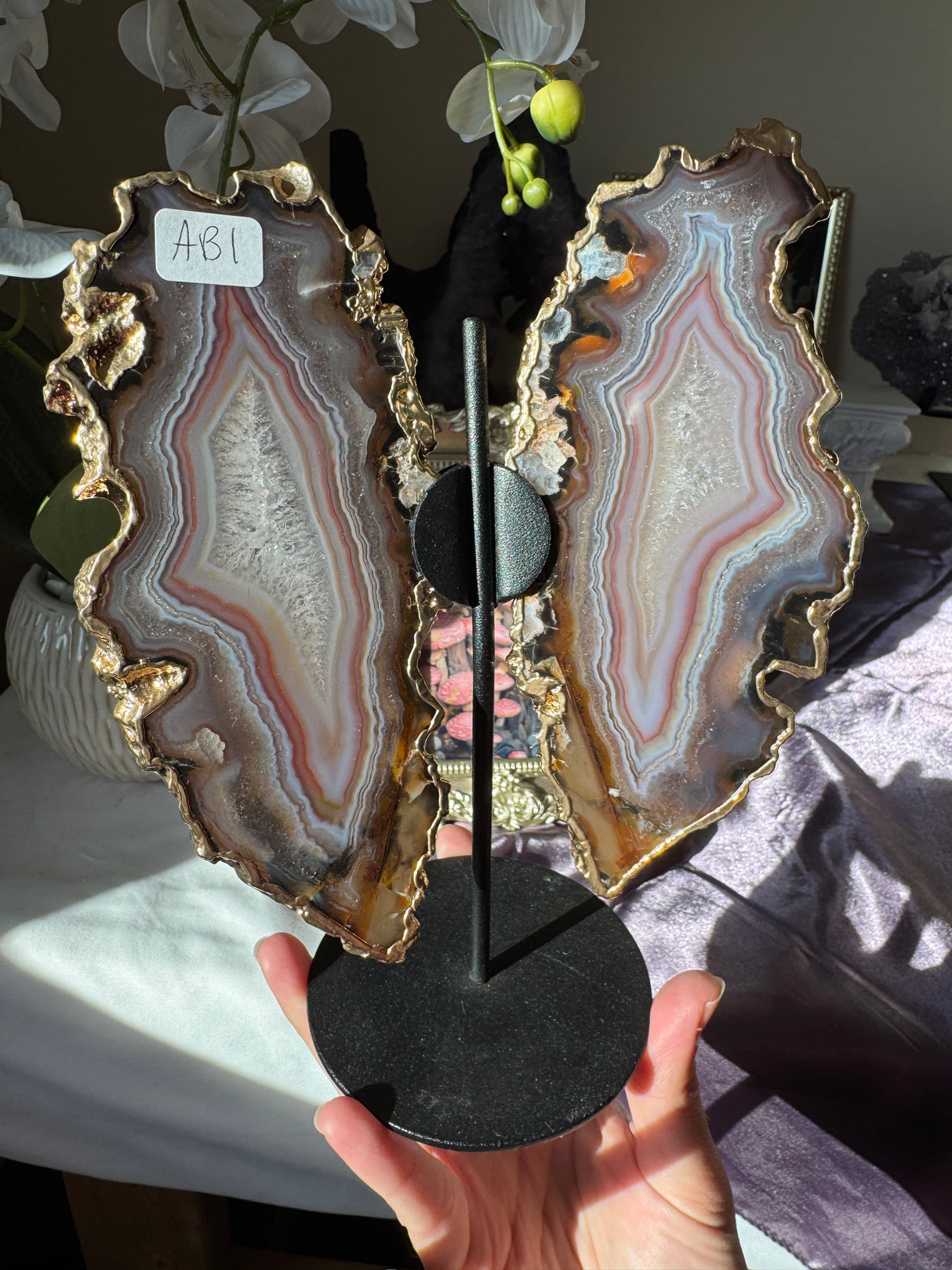 Gilded Agate Butterly Wings