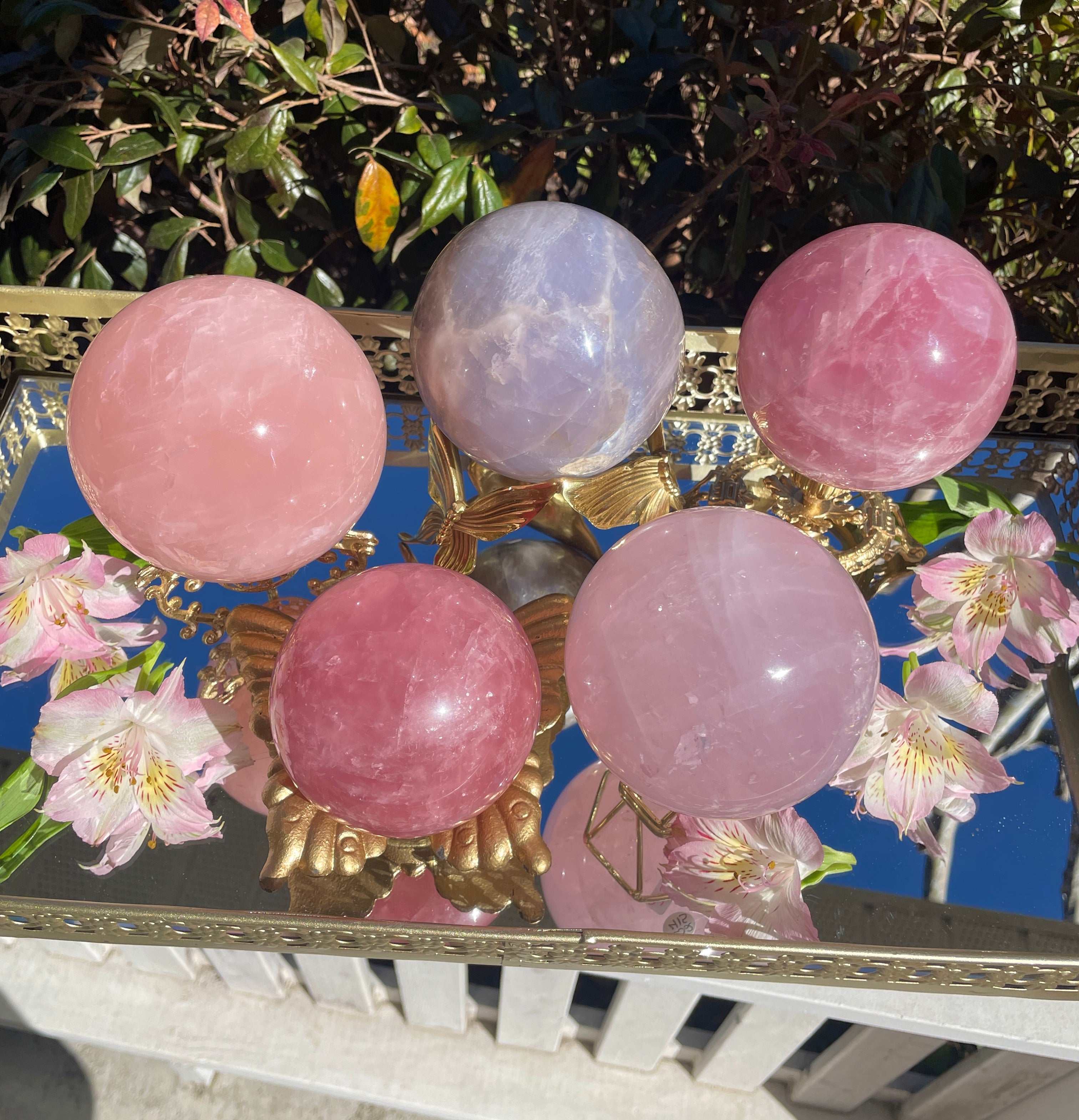 Unicorns – Unicorn Grove Crystals