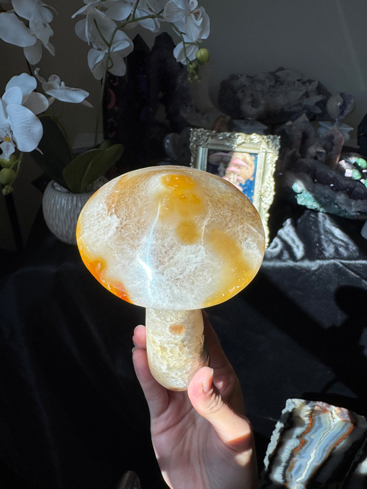 Agate Mushroom (imperfect)