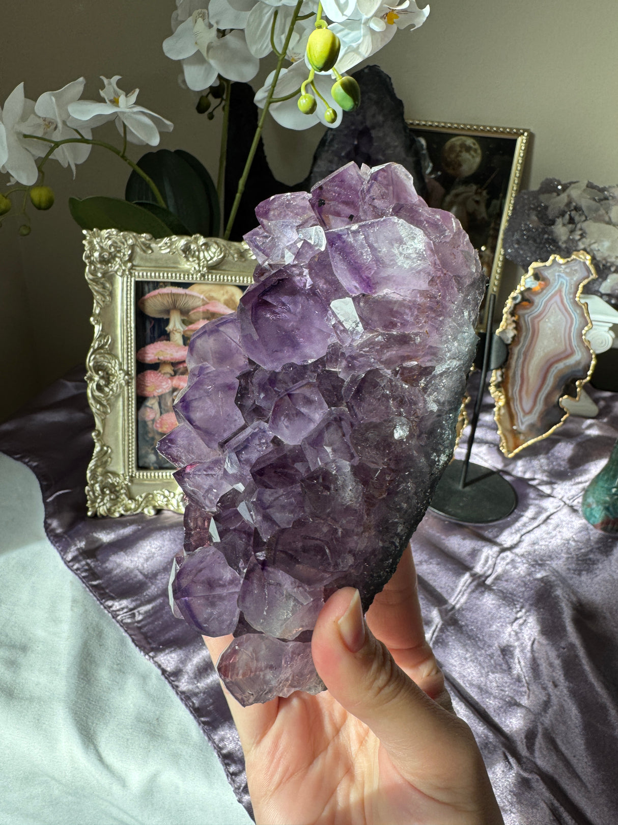 Large Point Amethyst Cluster