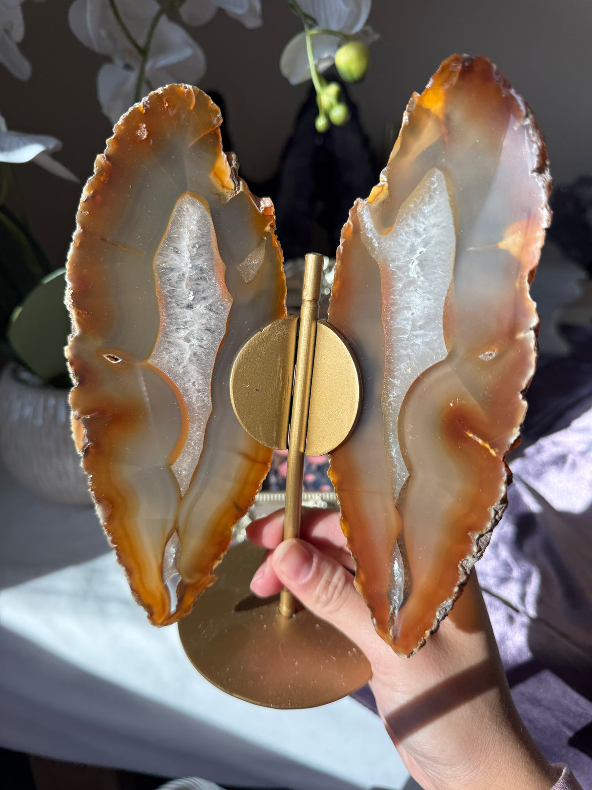 Agate Butterly Wings