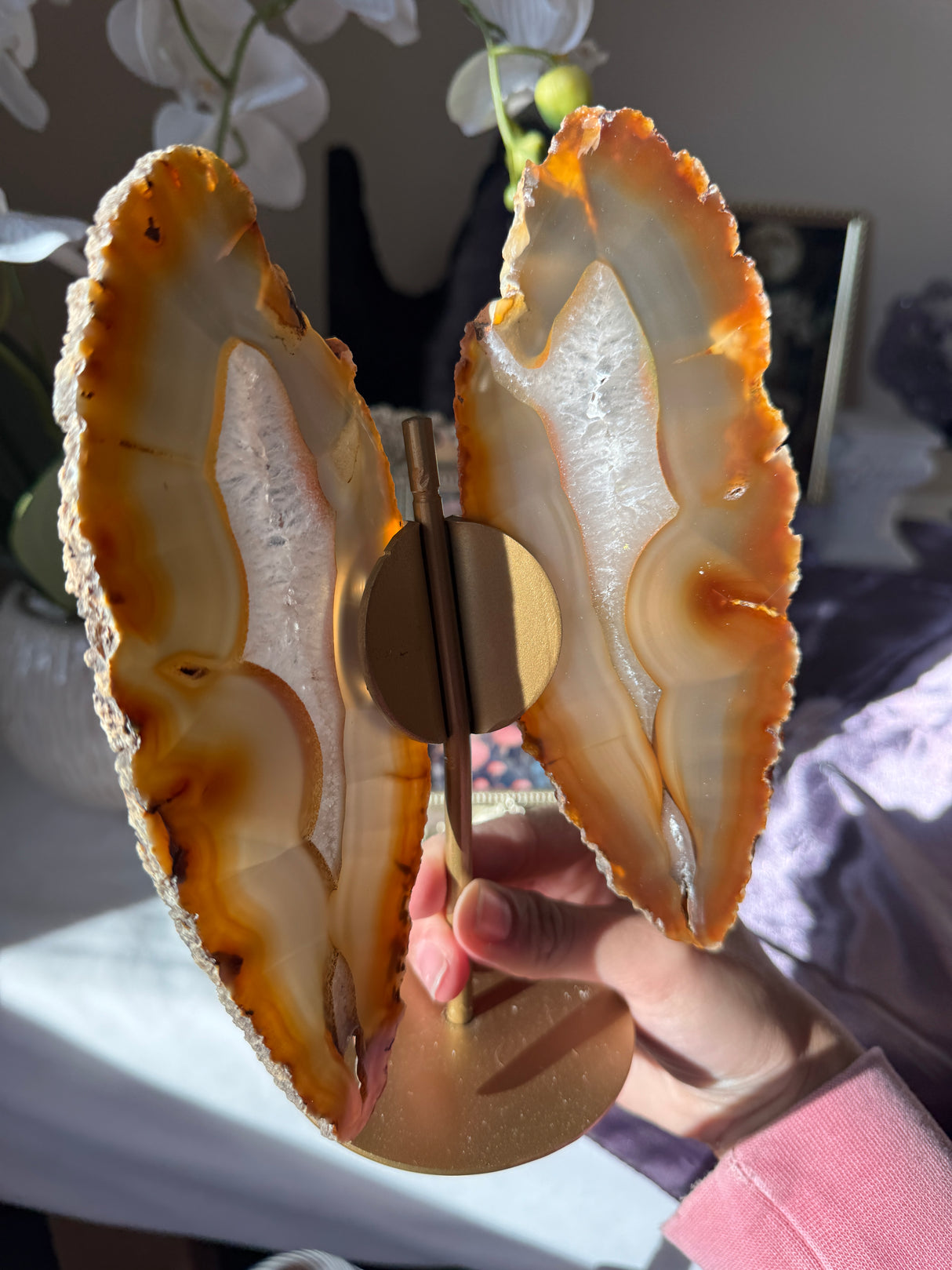 Agate Butterly Wings