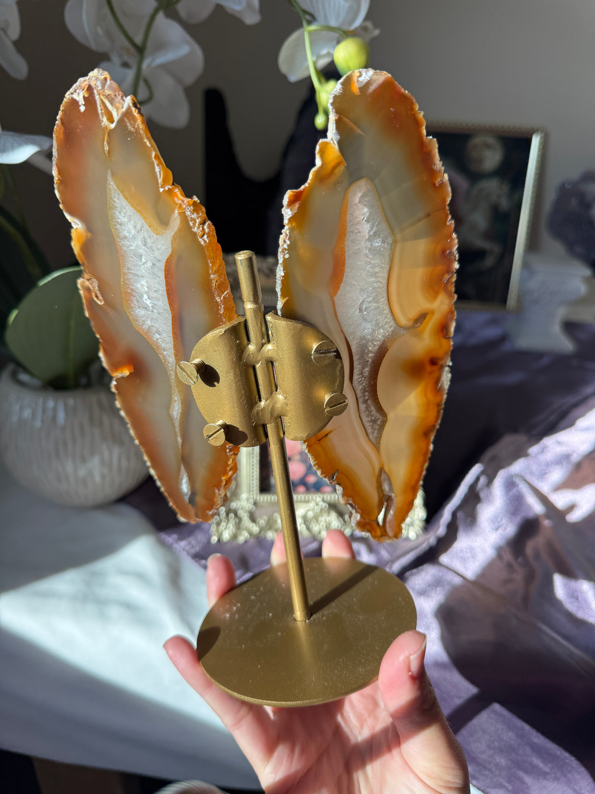 Agate Butterly Wings