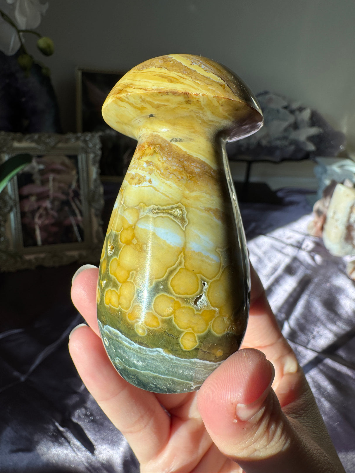 Sea Jasper Mushroom
