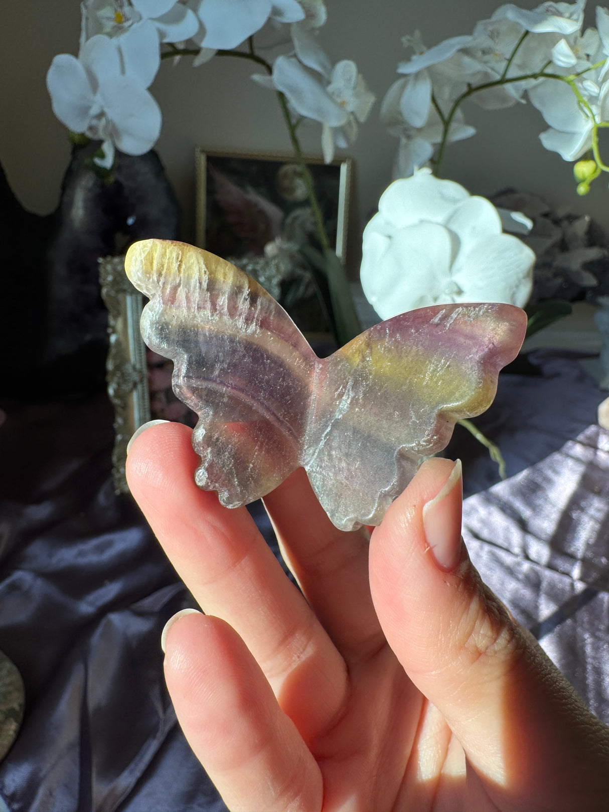 Rainbow Fluorite Butterfly