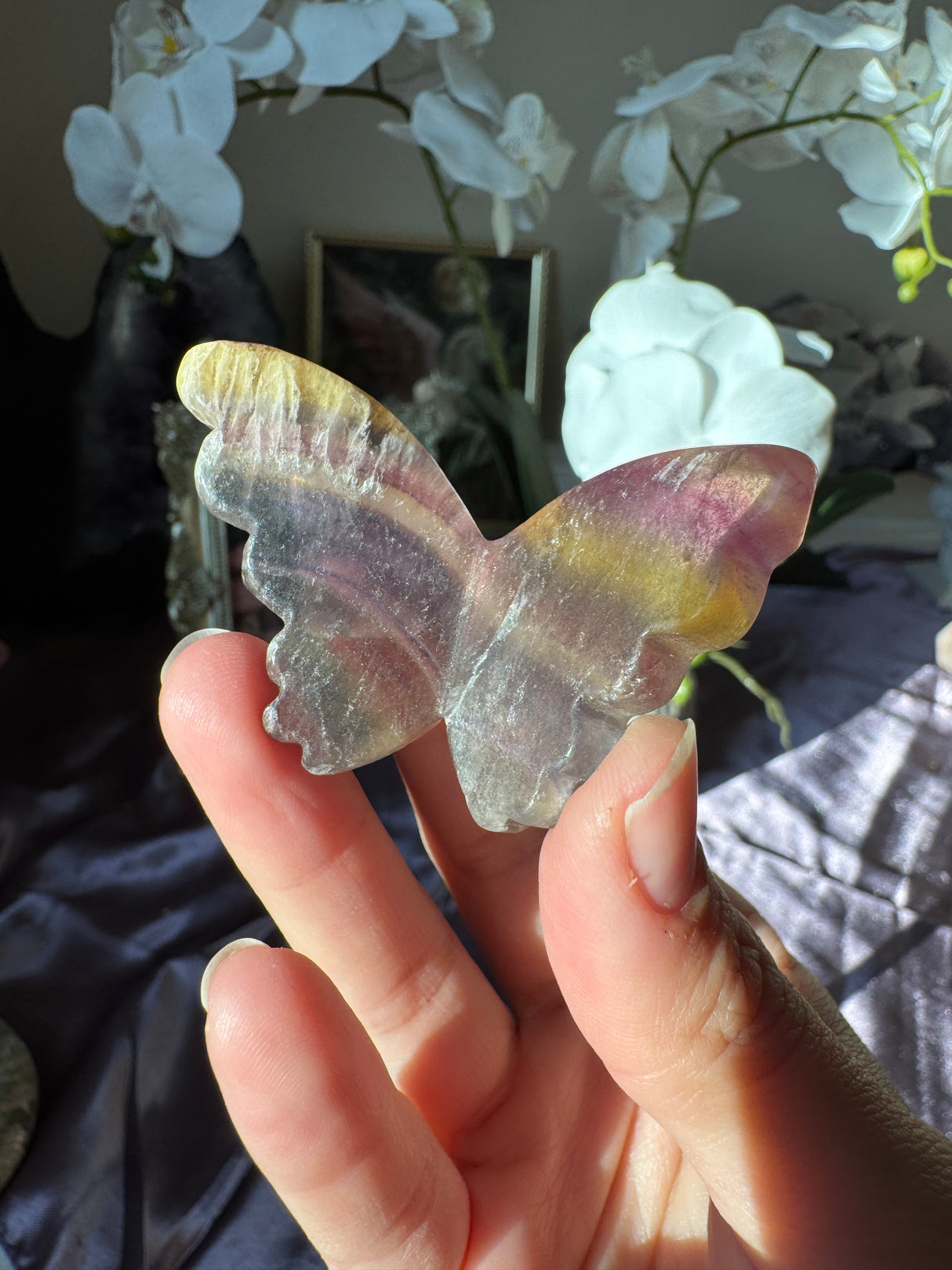 Rainbow Fluorite Butterfly