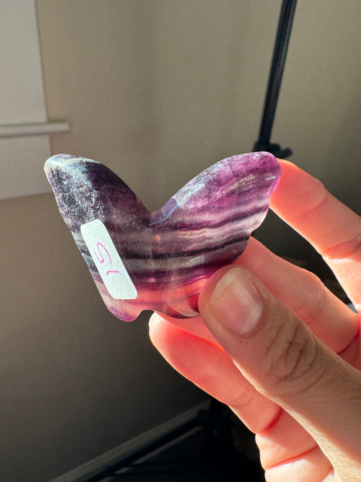Rainbow Fluorite Butterfly