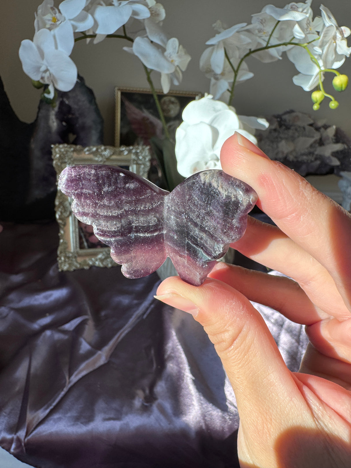 Rainbow Fluorite Butterfly