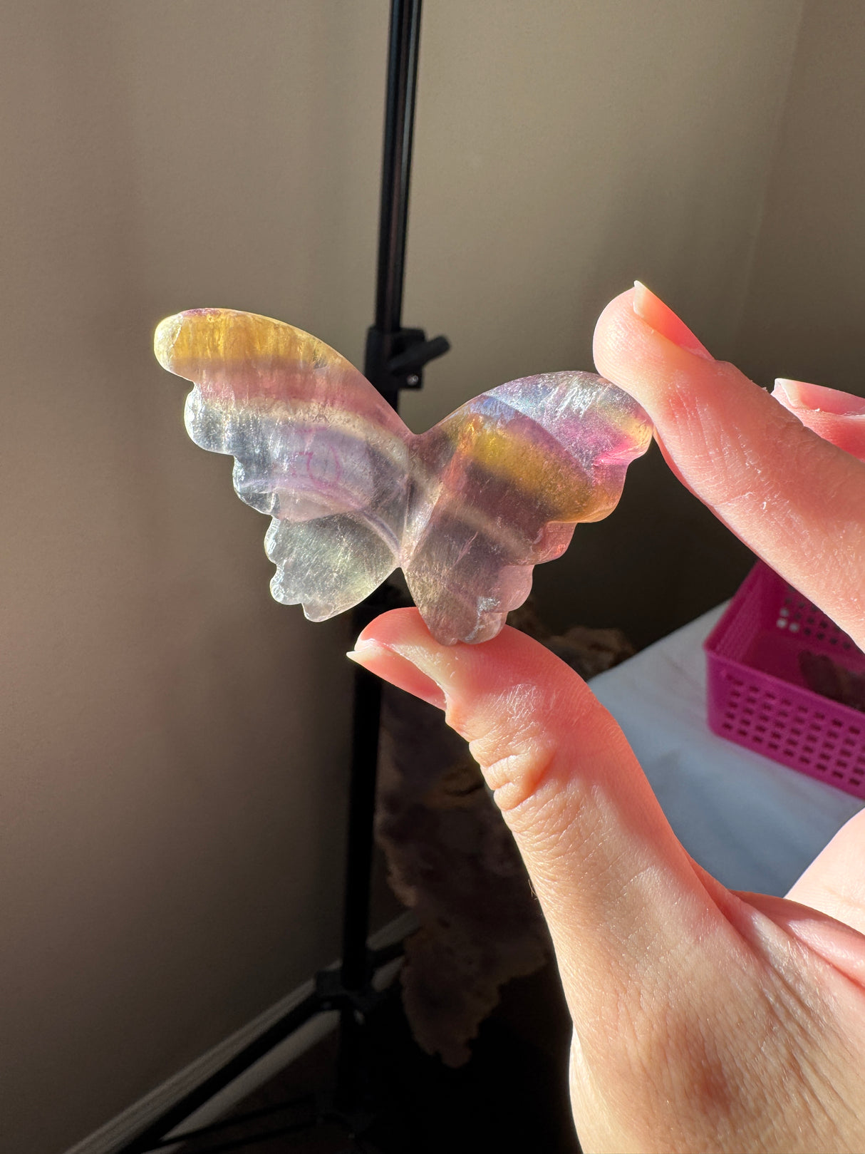 Rainbow Fluorite Butterfly