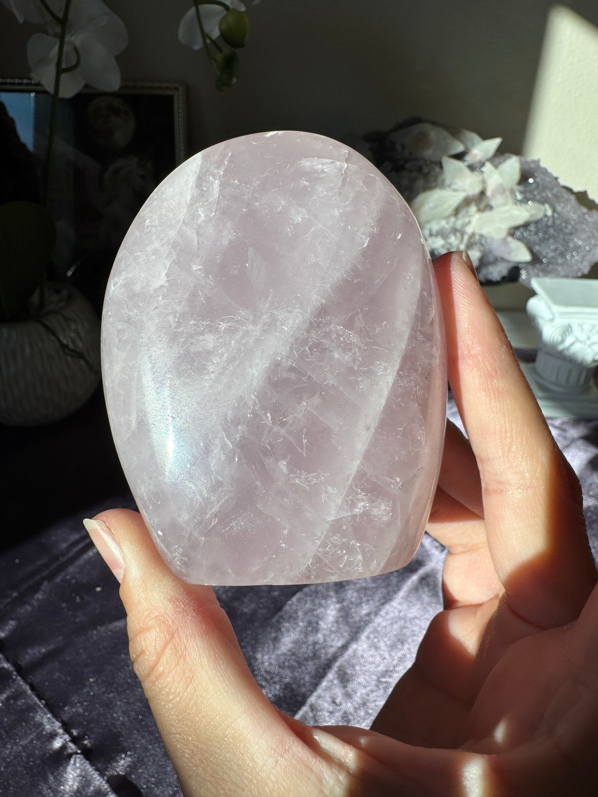 Lavender Rose Quartz Free Form