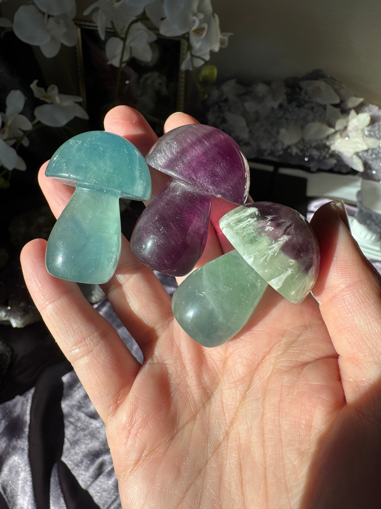 Fluorite Mushroom (Intuitive Pick)