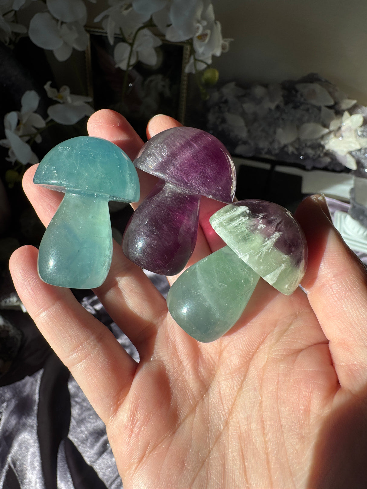 Fluorite Mushroom (Intuitive Pick)