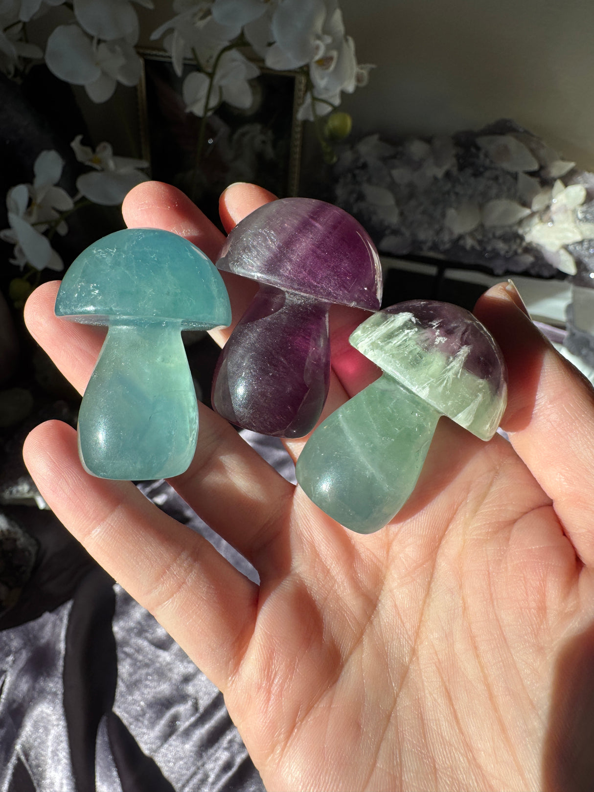 Fluorite Mushroom (Intuitive Pick)