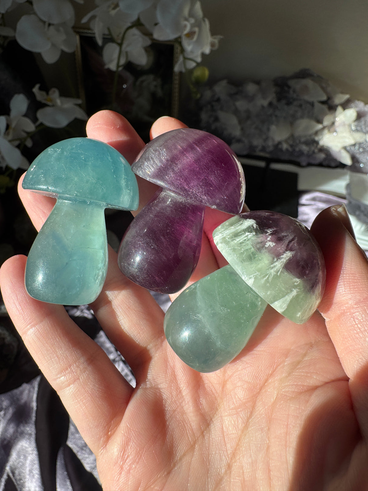 Fluorite Mushroom (Intuitive Pick)