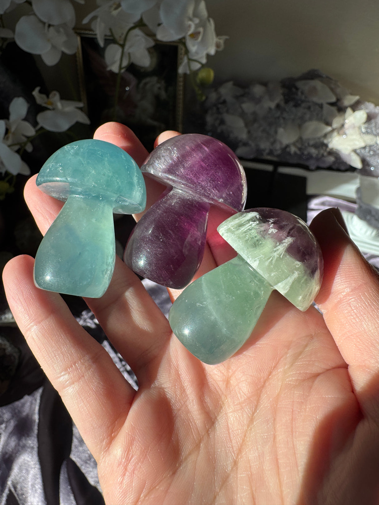 Fluorite Mushroom (Intuitive Pick)