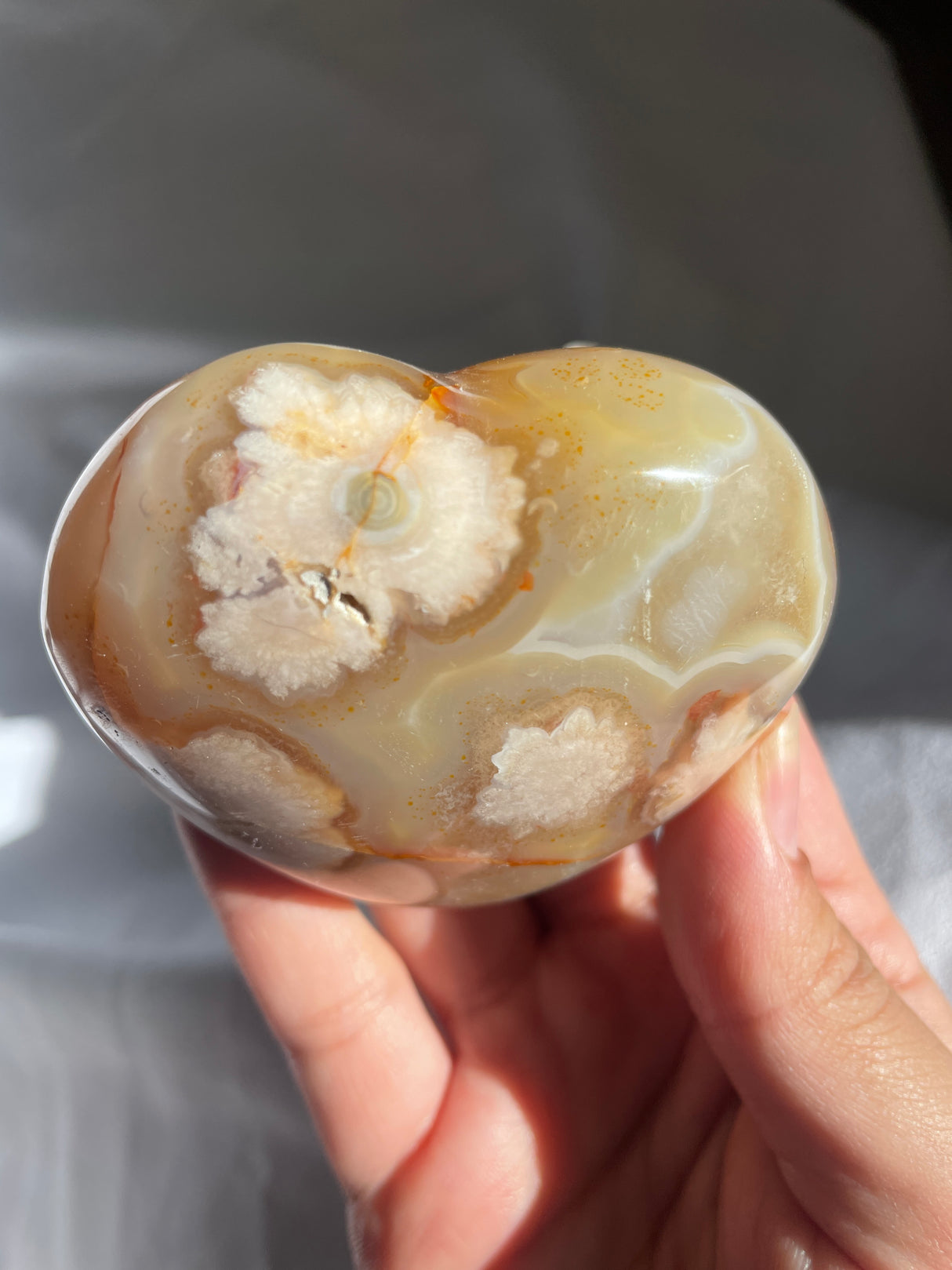 Flower Agate Heart with Carnelian