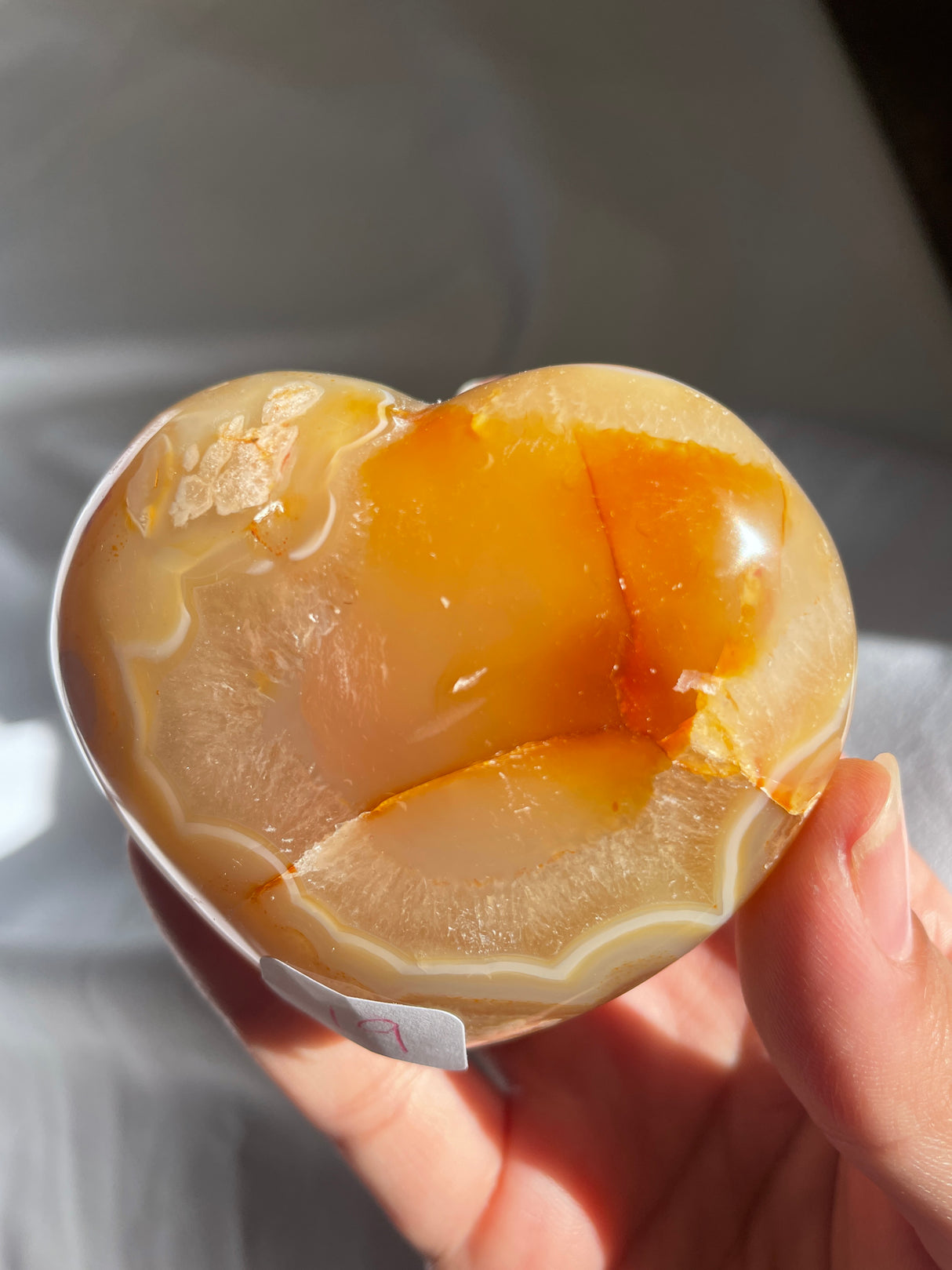 Flower Agate Heart with Carnelian