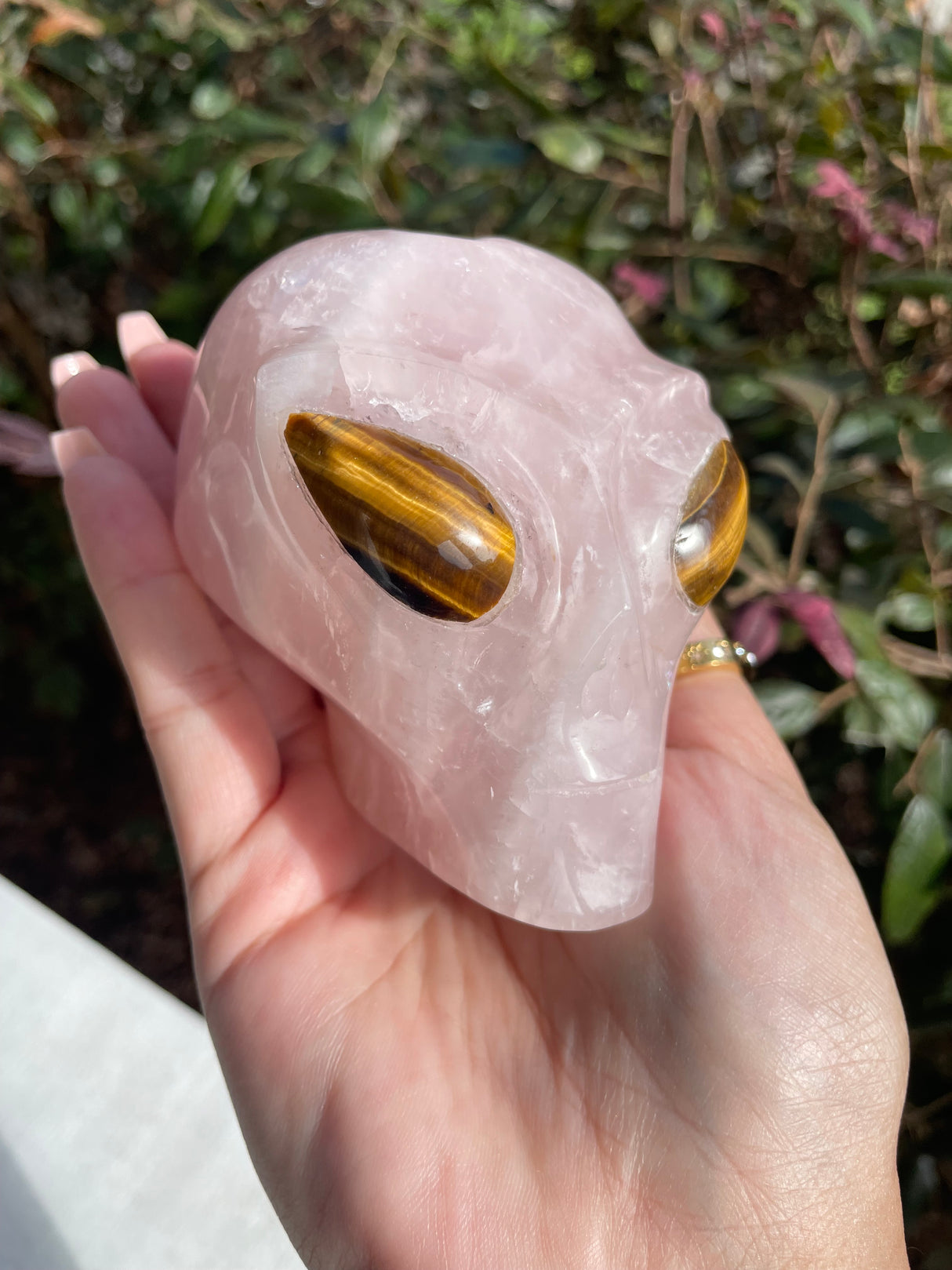 Rose Quartz Star Being Alien