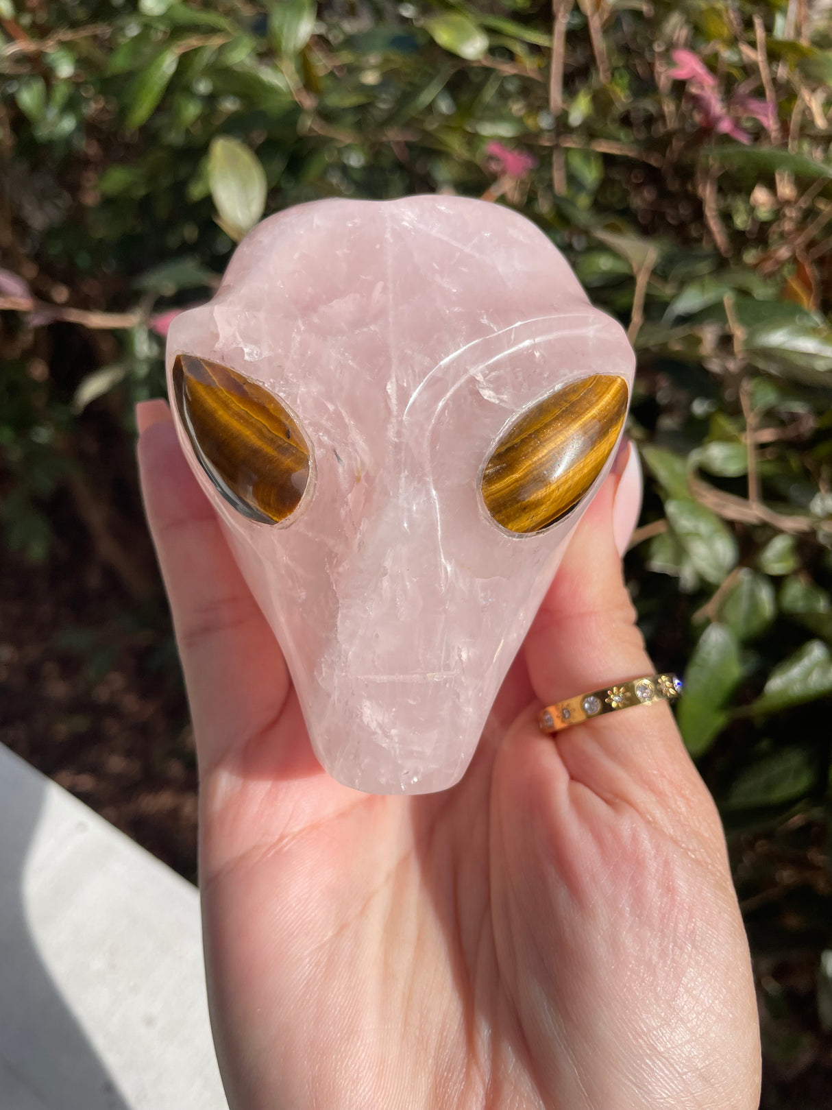 Rose Quartz Star Being Alien
