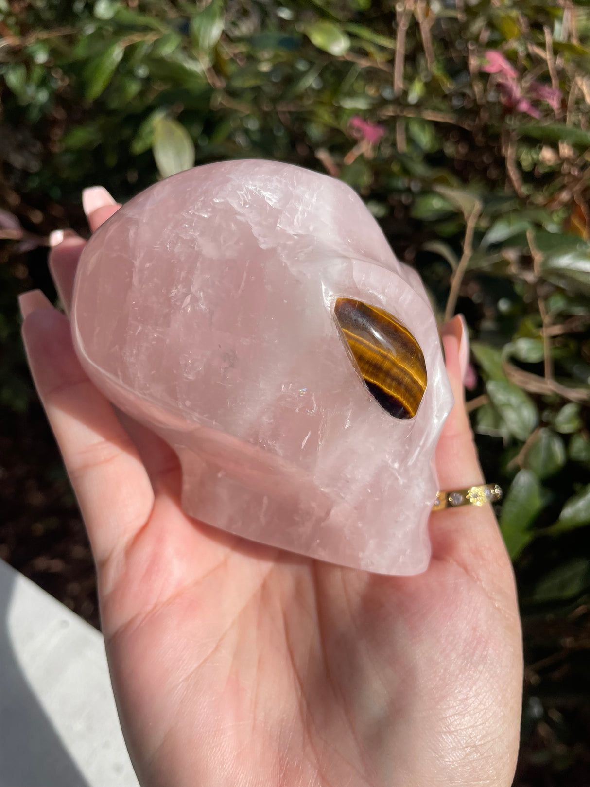 Rose Quartz Star Being Alien