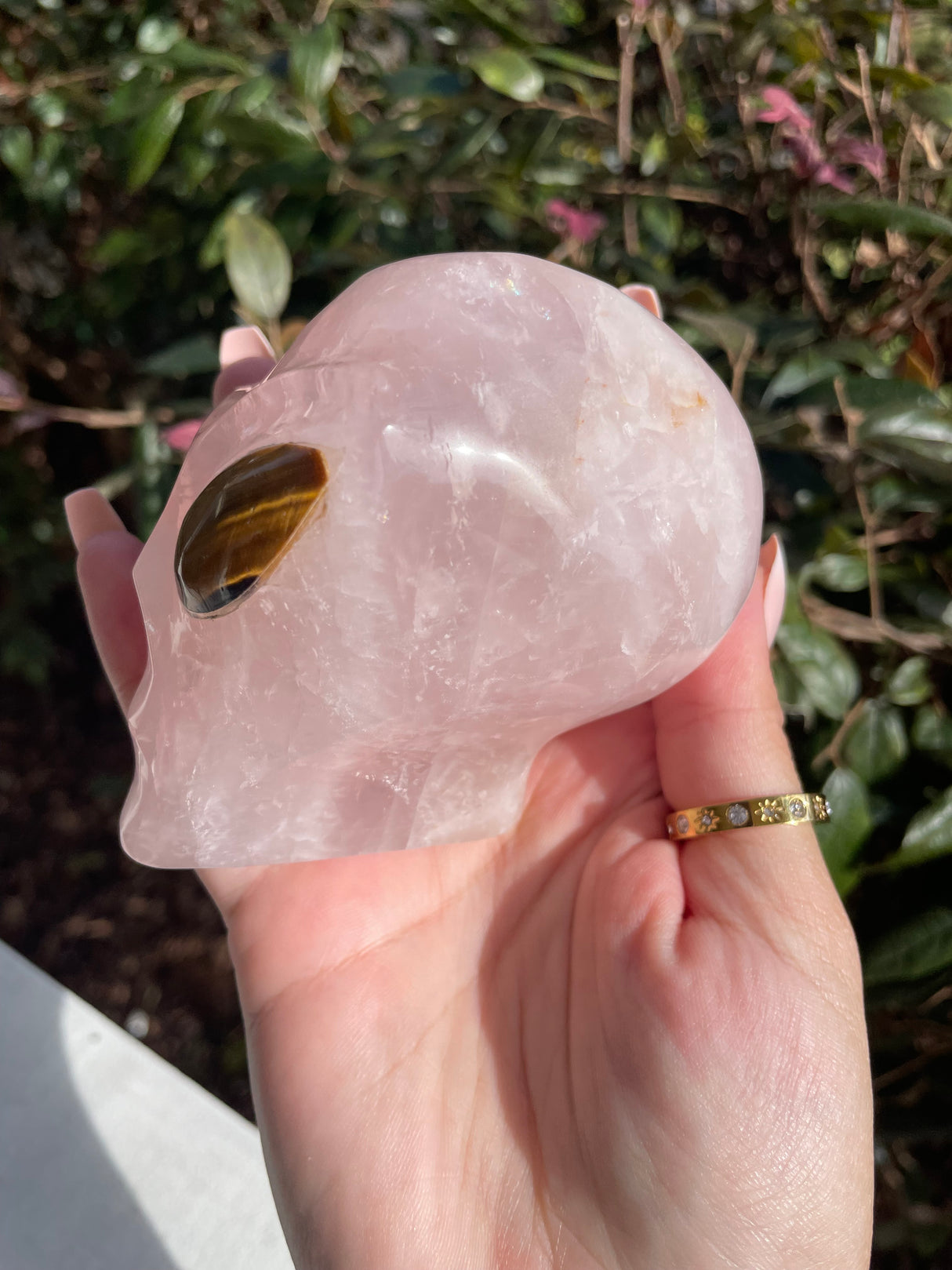 Rose Quartz Star Being Alien