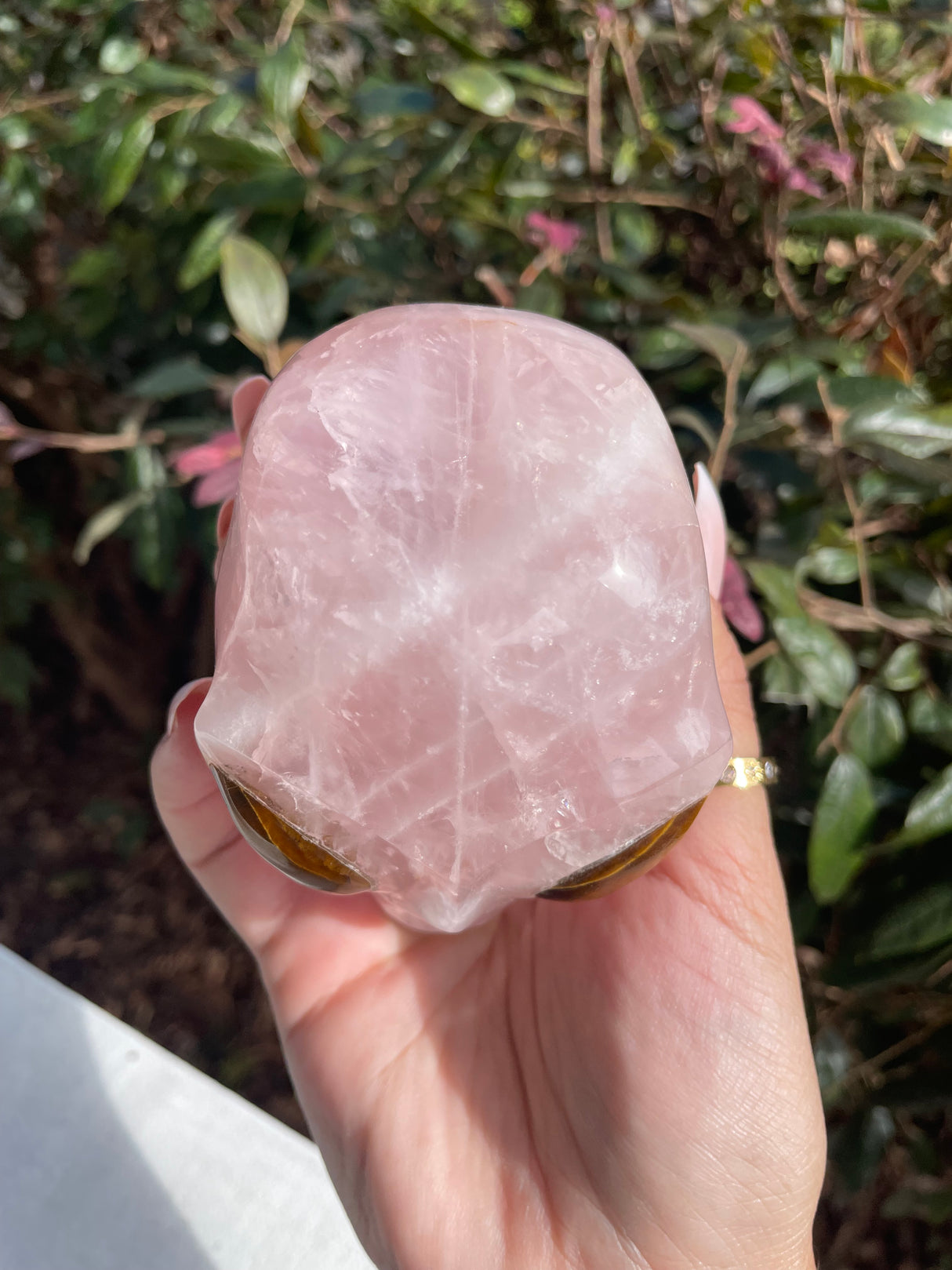 Rose Quartz Star Being Alien