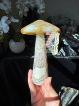 Agate Mushroom (imperfect)
