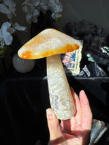 Agate Mushroom (imperfect)