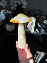 Agate Mushroom (imperfect)