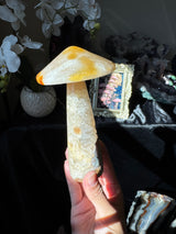 Agate Mushroom (imperfect)