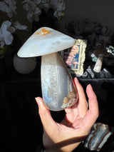 Agate Mushroom (imperfect)