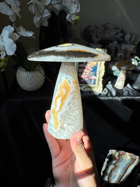 Agate Mushroom (imperfect)