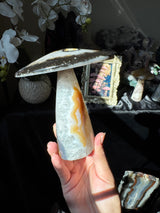 Agate Mushroom (imperfect)