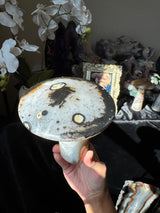 Agate Mushroom (imperfect)