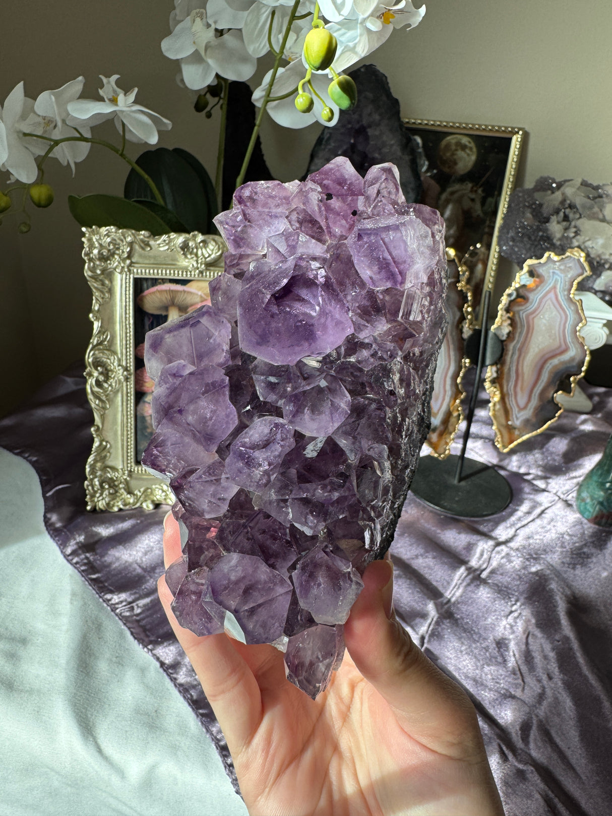 Large Point Amethyst Cluster