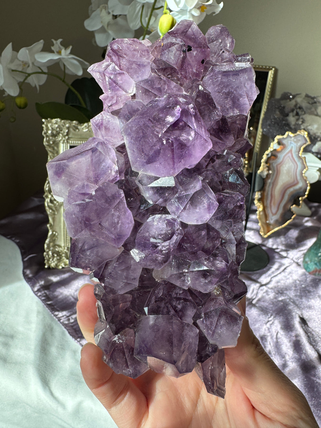 Large Point Amethyst Cluster