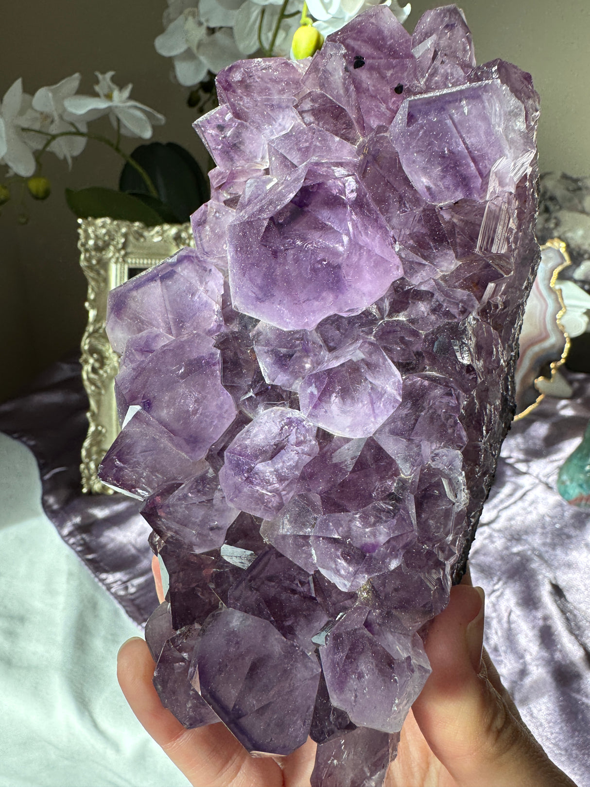 Large Point Amethyst Cluster