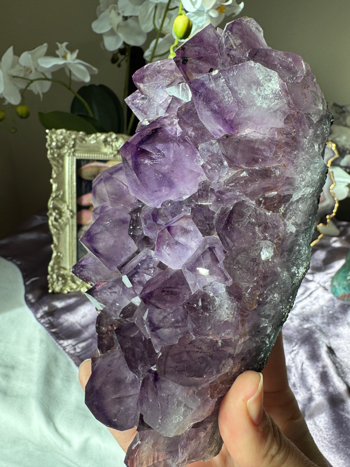 Large Point Amethyst Cluster