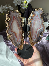 Gilded Agate Butterly Wings