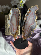Gilded Agate Butterly Wings