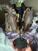 Gilded Agate Butterly Wings