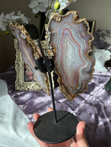 Gilded Agate Butterly Wings