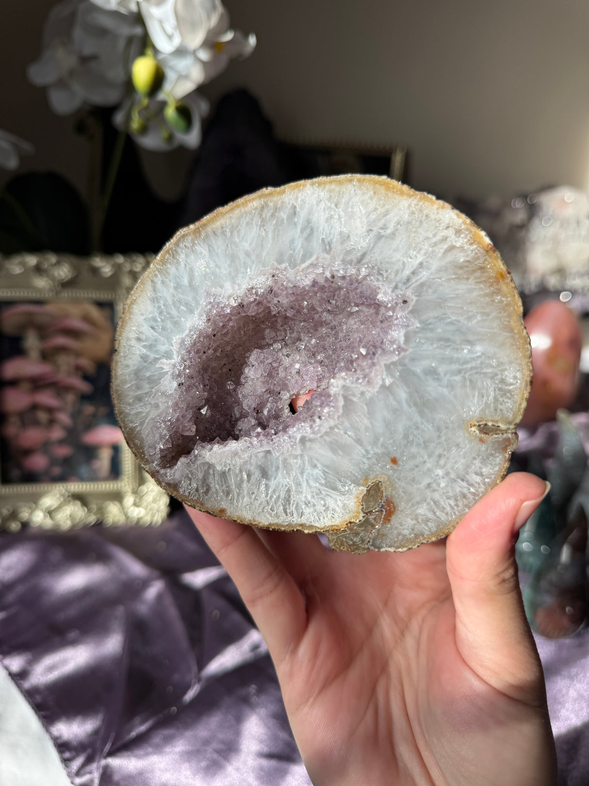 Lavender Amethyst Geode