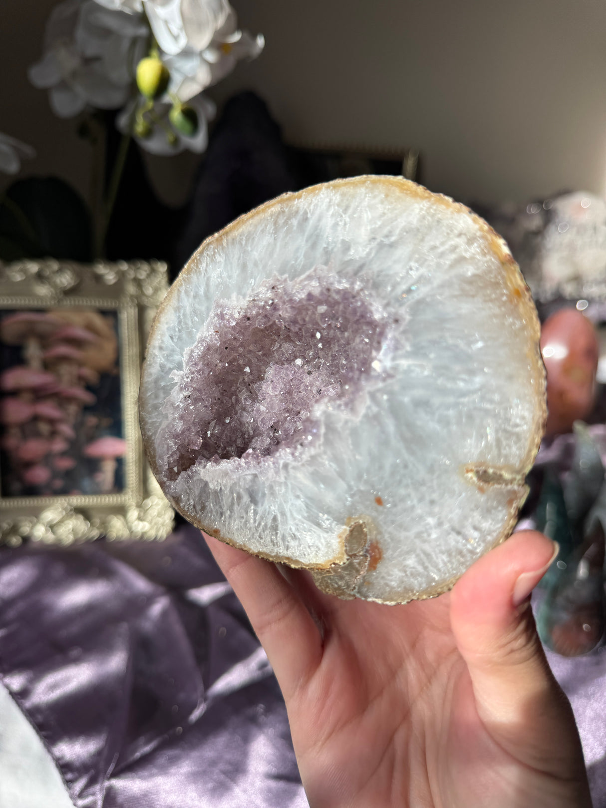 Lavender Amethyst Geode