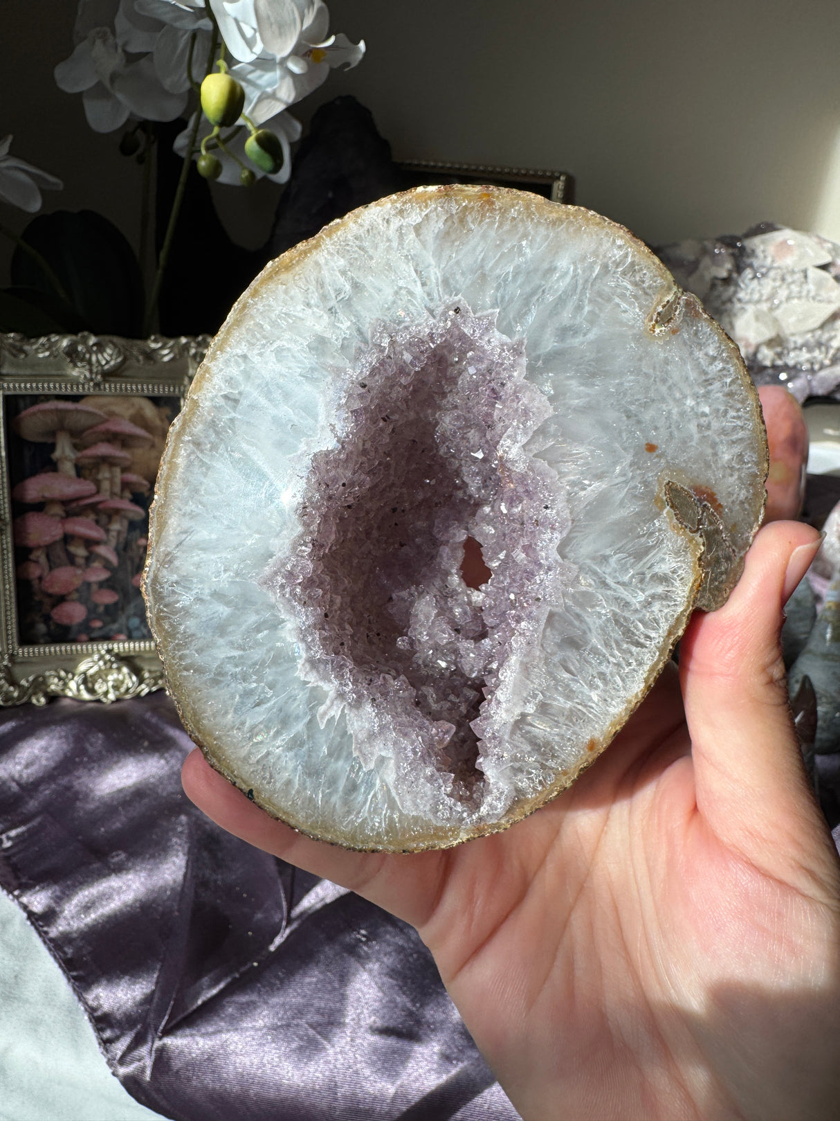 Lavender Amethyst Geode