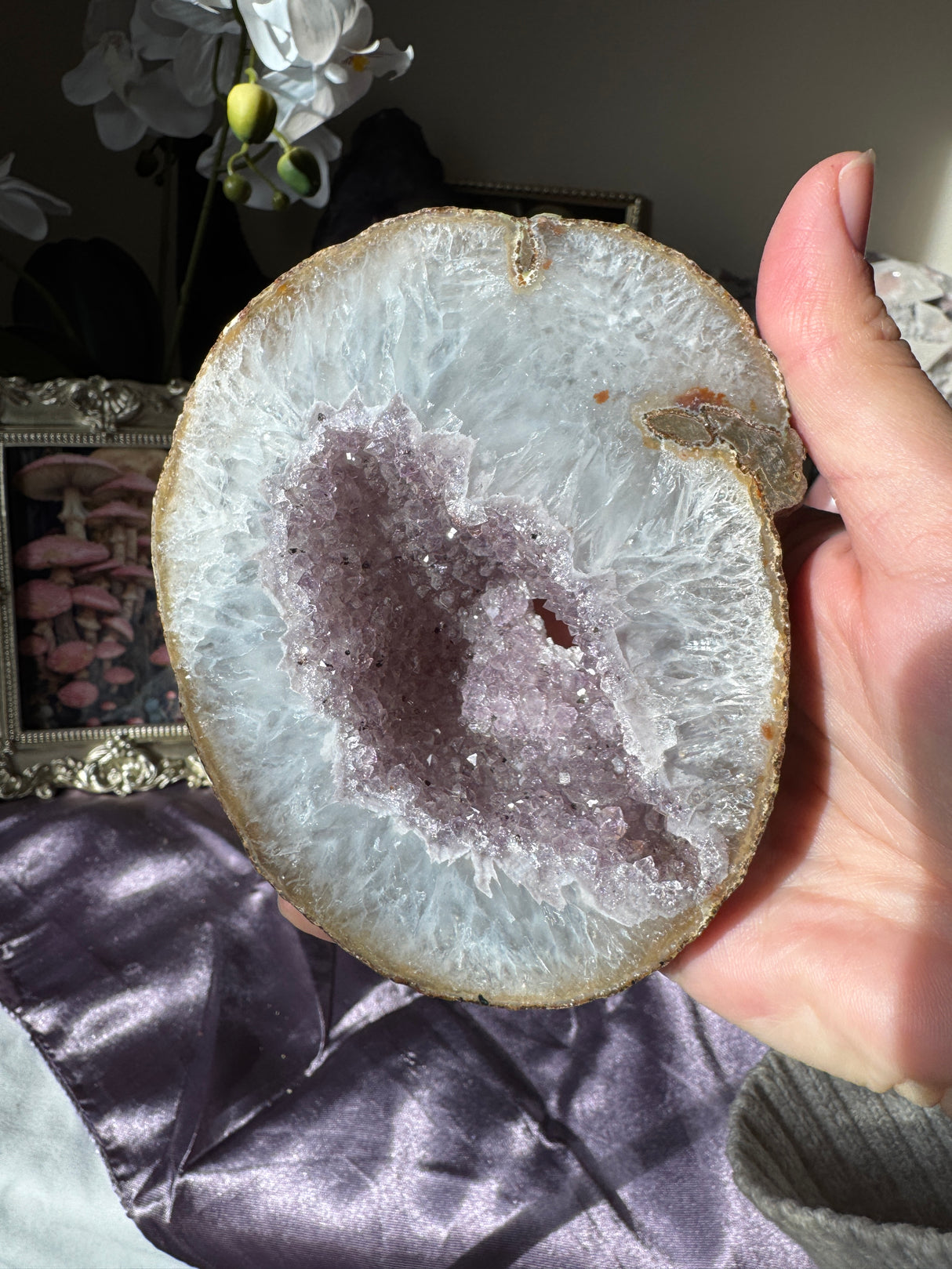 Lavender Amethyst Geode