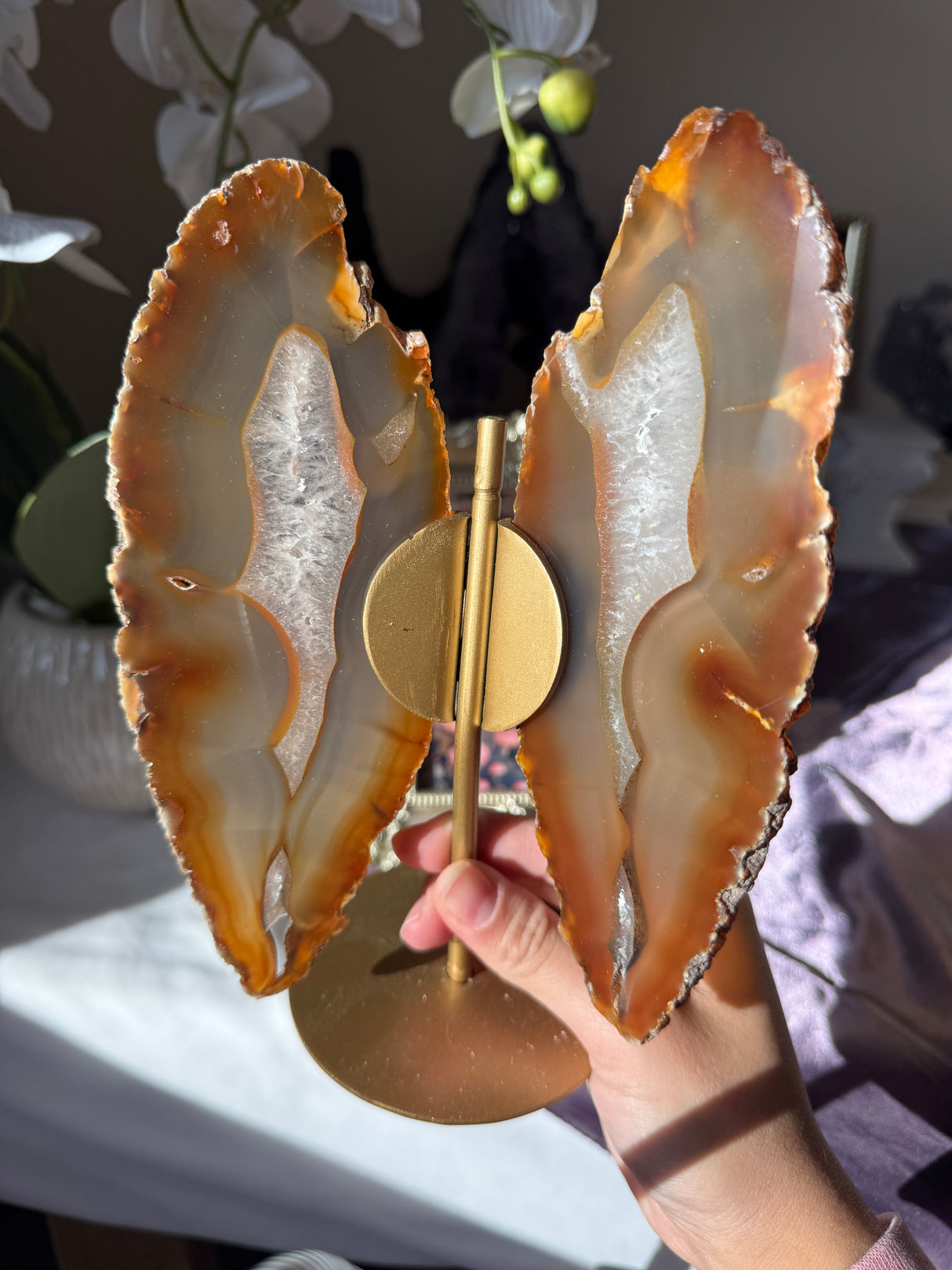Agate Butterly Wings