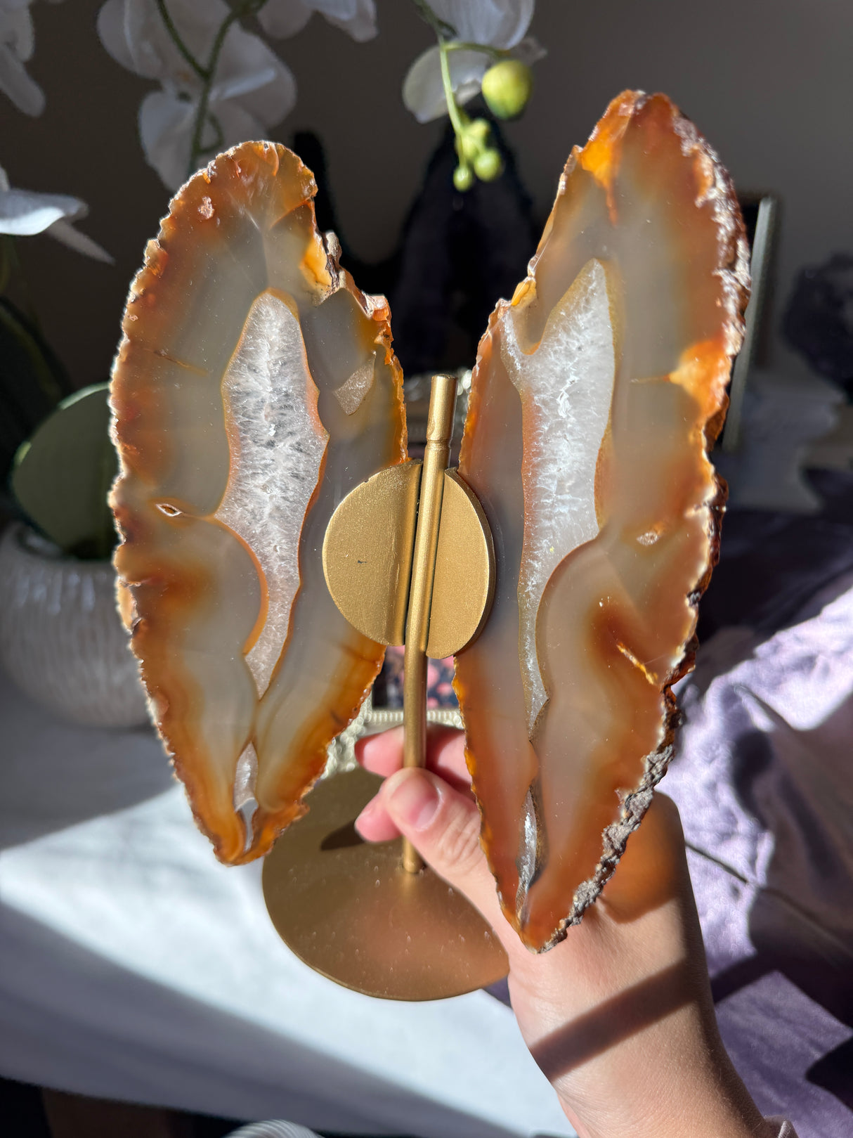 Agate Butterly Wings