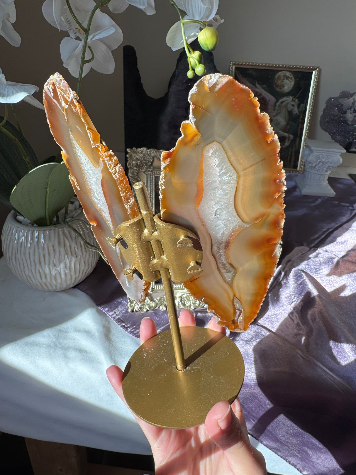 Agate Butterly Wings