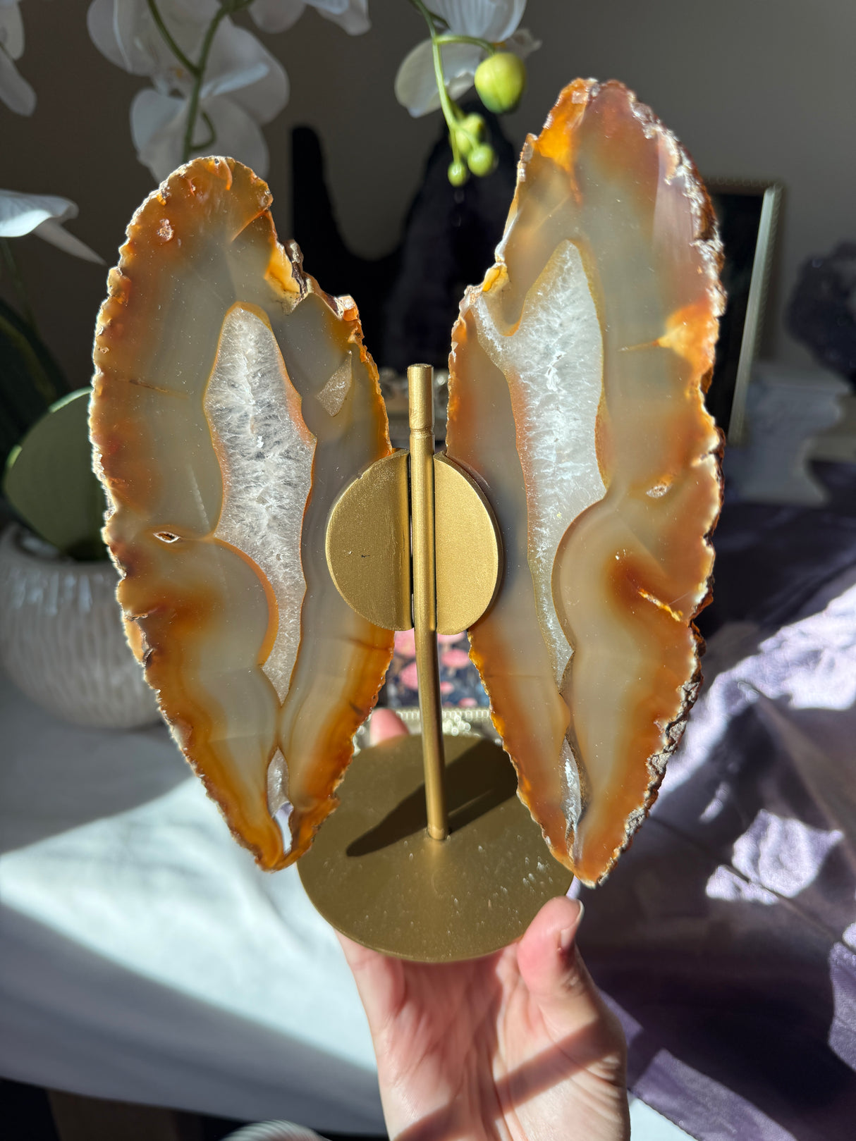 Agate Butterly Wings